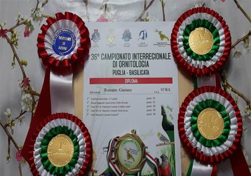 36° Campionato Interregionale di ornitologia Puglia e Basilicata